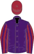 Purple, maroon and purple striped sleeves, maroon cap