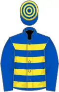 Royal Blue and Yellow hoops, Royal Blue sleeves, hooped cap