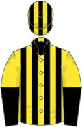 Yellow and black stripes, halved sleeves