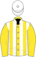 Yellow and white stripes, yellow sleeves, white cap
