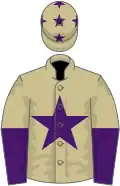 Beige, purple star, halved sleeves, stars on cap