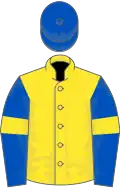 Yellow, royal blue sleeves, yellow armlets, royal blue cap