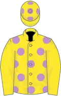 Yellow, mauve spots, yellow sleeves