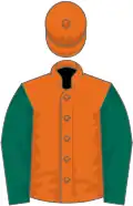 Orange, dark green sleeves