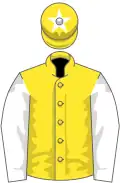 Yellow, white sleeves, yellow cap, white star