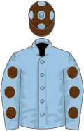 Light blue, brown spots on sleeves, brown cap, light blue spots
