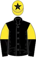 Black, yellow and black halved sleeves, yellow cap, black star