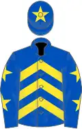 Royal blue, yellow chevrons, royal blue sleeves, yellow stars, royal blue cap, yellow star