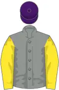 Grey, yellow sleeves, purple cap