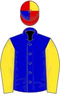 Blue, yellow sleeves, red, blue and yellow quartered cap