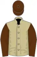 Beige, brown sleeves, brown cap