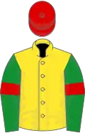 Yellow, green sleeves, red armlets and cap