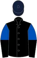 Black, royal blue and black halved sleeves, dark blue cap