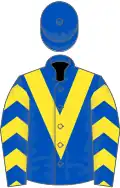 Royal blue, yellow chevron and chevrons on sleeves, royal blue cap