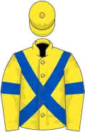 Yellow, royal blue cross belts and armlets