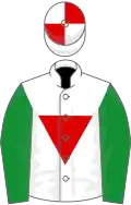 White, red inverted triangle, quartered cap, green sleeves