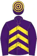 Purple and yellow chevrons, purple sleeves, hooped cap