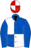 Royal blue and white (quartered), royal blue sleeves, red and white quartered cap