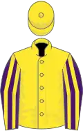 Yellow, Purple and Yellow striped sleeves