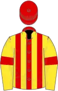 Red and yellow stripes, yellow sleeves, red armlets, red cap