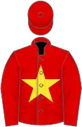 Red, yellow star, based on the Vietnamese flag.