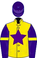 Yellow, purple star, purple sleeves, yellow armlets, purple cap