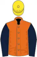 Orange, dark blue sleeves, yellow cap
