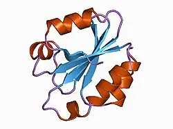 1auc: HUMAN THIOREDOXIN (OXIDIZED WITH DIAMIDE)