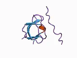 1azg: NMR STUDY OF THE SH3 DOMAIN FROM FYN PROTO-ONCOGENE TYROSINE KINASE KINASE COMPLEXED WITH THE SYNTHETIC PEPTIDE P2L CORRESPONDING TO RESIDUES 91-104 OF THE P85 SUBUNIT OF PI3-KINASE, MINIMIZED AVERAGE (PROBMAP) STRUCTURE