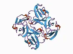 1bd7: CIRCULARLY PERMUTED BB2-CRYSTALLIN