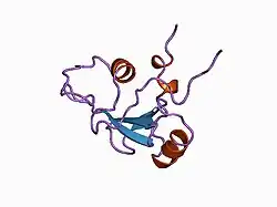 1bfj: SOLUTION STRUCTURE OF THE C-TERMINAL SH2 DOMAIN OF THE P85ALPHA REGULATORY SUBUNIT OF PHOSPHOINOSITIDE 3-KINASE, NMR, MINIMIZED AVERAGE STRUCTURE