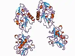 1bnl: ZINC DEPENDENT DIMERS OBSERVED IN CRYSTALS OF HUMAN ENDOSTATIN