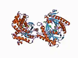 1cjt: COMPLEX OF GS-ALPHA WITH THE CATALYTIC DOMAINS OF MAMMALIAN ADENYLYL CYCLASE: COMPLEX WITH BETA-L-2',3'-DIDEOXYATP, MN, AND MG