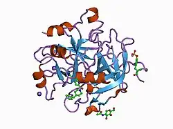 1d4p: CRYSTAL STRUCTURE OF HUMAN ALPHA THROMBIN IN COMPLEX WITH 5-AMIDINOINDOLE-4-BENZYLPIPERIDINE INHIBITOR