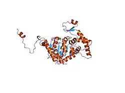 1dhs: CRYSTAL STRUCTURE OF THE NAD COMPLEX OF HUMAN DEOXYHYPUSINE SYNTHASE