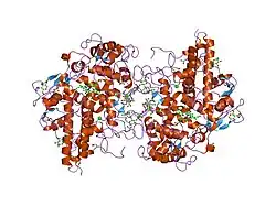 1dnu: STRUCTURAL ANALYSES OF HUMAN MYELOPEROXIDASE-THIOCYANATE COMPLEX