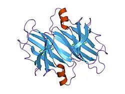 1dvz: CRYSTAL STRUCTURE OF HUMAN TRANSTHYRETIN IN COMPLEX WITH O-TRIFLUOROMETHYLPHENYL ANTHRANILIC ACID
