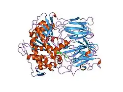1e8m: PROLYL OLIGOPEPTIDASE FROM PORCINE BRAIN, MUTANT, COMPLEXED WITH INHIBITOR