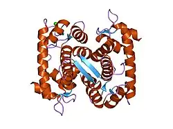 1f4o: CRYSTAL STRUCTURE OF GRANCALCIN WITH BOUND CALCIUM