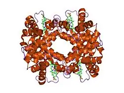 1fdh: STRUCTURE OF HUMAN FOETAL DEOXYHAEMOGLOBIN