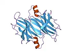 1fhn: TRANSTHYRETIN STABILITY AS A KEY FACTOR IN AMYLOIDOGENESIS