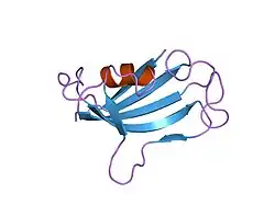1fkt: SOLUTION STRUCTURE OF FKBP, A ROTAMASE ENZYME AND RECEPTOR FOR FK506 AND RAPAMYCIN