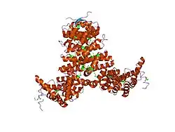 1gcj: N-TERMINAL FRAGMENT OF IMPORTIN-BETA