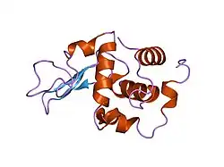 1gfj: CRYSTAL STRUCTURE OF MUTANT HUMAN LYSOZYME SUBSTITUTED AT THE SURFACE POSITIONS