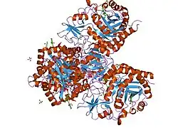 1hjx: LIGAND-INDUCED SIGNALLING AND CONFORMATIONAL CHANGE OF THE 39 KD GLYCOPROTEIN FROM HUMAN ARTICULAR CHONDROCYTES
