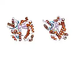 1huo: CRYSTAL STRUCTURE OF DNA POLYMERASE BETA COMPLEXED WITH DNA AND CR-TMPPCP