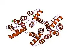 1hvd: STRUCTURAL AND ELECTROPHYSIOLOGICAL ANALYSIS OF ANNEXIN V MUTANTS. MUTAGENESIS OF HUMAN ANNEXIN V, AN IN VITRO VOLTAGE-GATED CALCIUM CHANNEL, PROVIDES INFORMATION ABOUT THE STRUCTURAL FEATURES OF THE ION PATHWAY, THE VOLTAGE SENSOR AND THE ION SELECTIVITY FILTER
