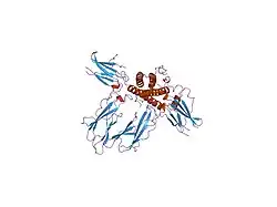 1hwg: 1:2 COMPLEX OF HUMAN GROWTH HORMONE WITH ITS SOLUBLE BINDING PROTEIN