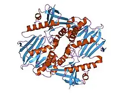 1i7n: CRYSTAL STRUCTURE ANALYSIS OF THE C DOMAIN OF SYNAPSIN II FROM RAT BRAIN