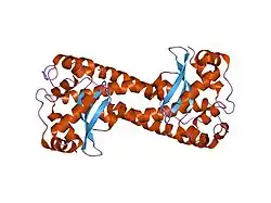 1ja8: Kinetic Analysis of Product Inhibition in Human Manganese Superoxide Dismutase